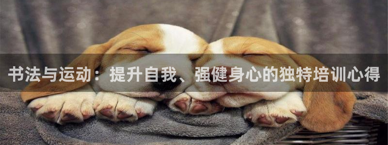 富联机器人产业研发基地：书法与运动：提升自我、强健身