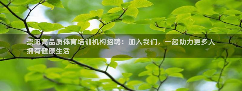 富联娱乐在线注册链接是什么软件：崇阳高品质体育培训机构招聘：