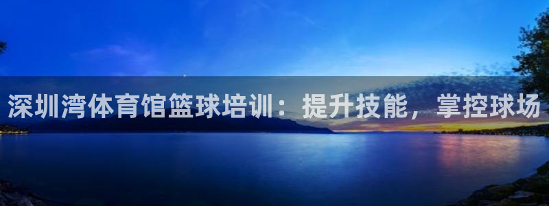 富联平台地址：深圳湾体育馆篮球培训：提升技能，掌控球