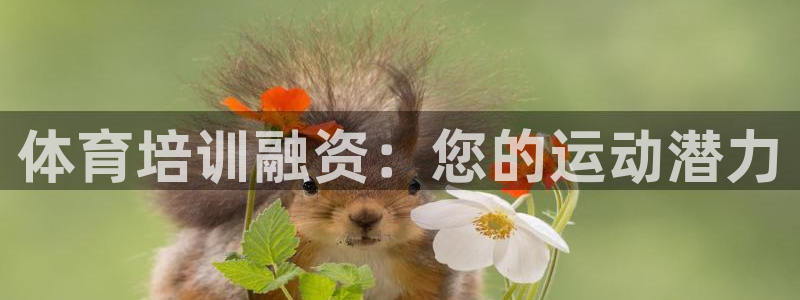 富联娱乐平台开户条件有哪些：体育培训融资：您的运动潜