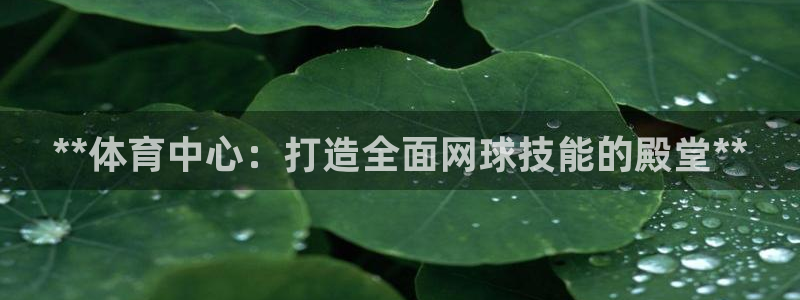 富联是什么意思网络用语：**体育中心：打造全面网球技