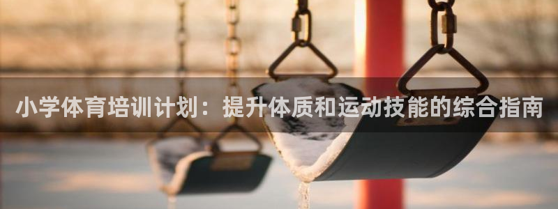 富联娱乐测速登录失败：小学体育培训计划：提升体质和运动技能的