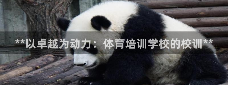 富联娱乐官方网站首页下载：**以卓越为动力：体育培训学校的校