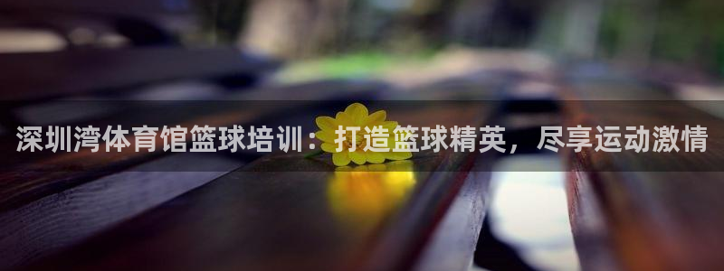 富联平台是什么平台：深圳湾体育馆篮球培训：打造篮球精