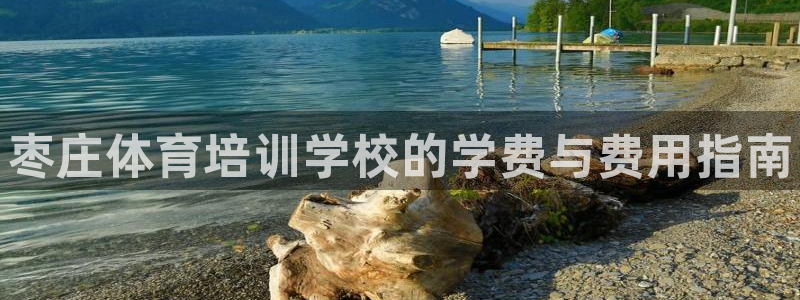 富联娱乐革7O777：枣庄体育培训学校的学费与费用指