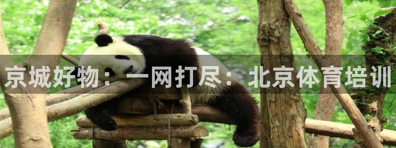 富联官网代理系列产品：京城好物：一网打尽：北京体育培训