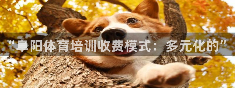 富联娱乐正规吗安全吗：“阜阳体育培训收费模式：多元化