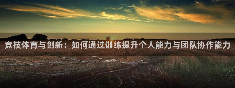 富联平台用户登陆失败：竞技体育与创新：如何通过训练提