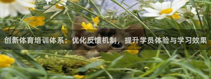 富联地产怎么样可靠吗：创新体育培训体系：优化反馈机制