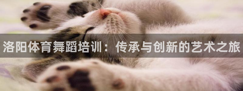 富联平台奇7O777：洛阳体育舞蹈培训：传承与创新的艺术之旅